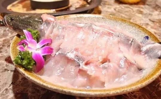 黑魚有哪些營養(yǎng)成分？吃黑魚有哪些禁忌？