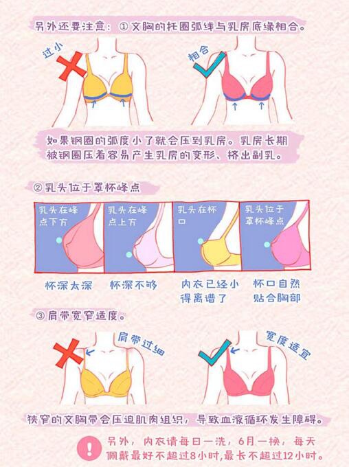 乳房護(hù)理知識(shí)