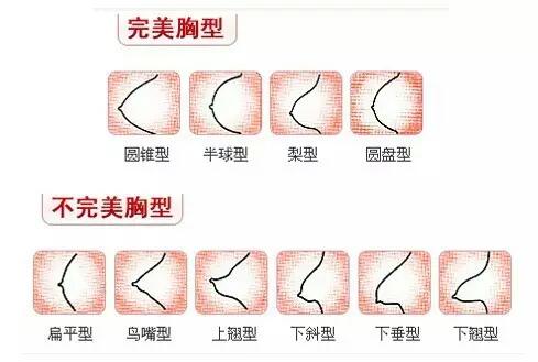 11歲女孩的胸部是怎樣的？11歲女孩的乳房長什么樣？[圖]