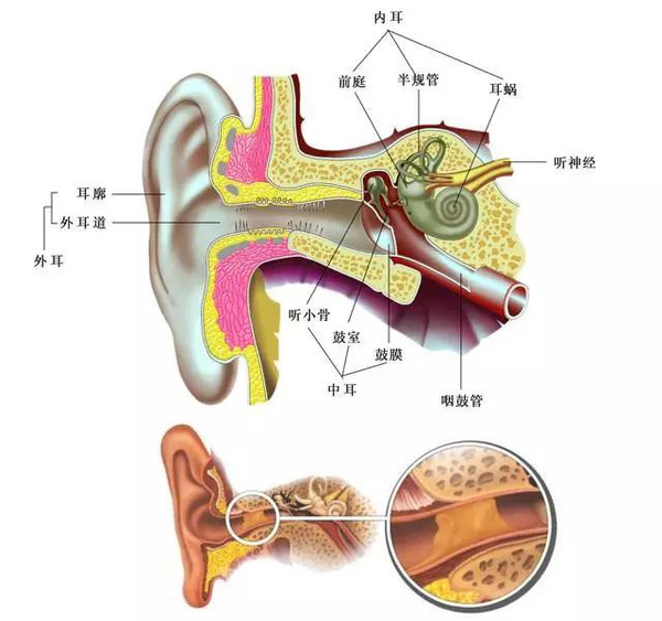 耳屎是怎么產(chǎn)生的？耳屎多是怎么回事呢？[圖]