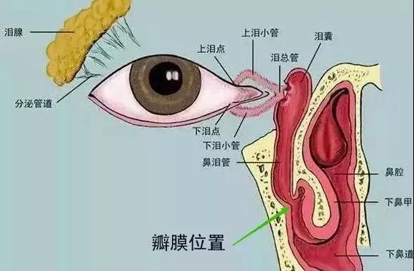 合肥愛爾眼科：什么是淚道疾??？如何預(yù)防