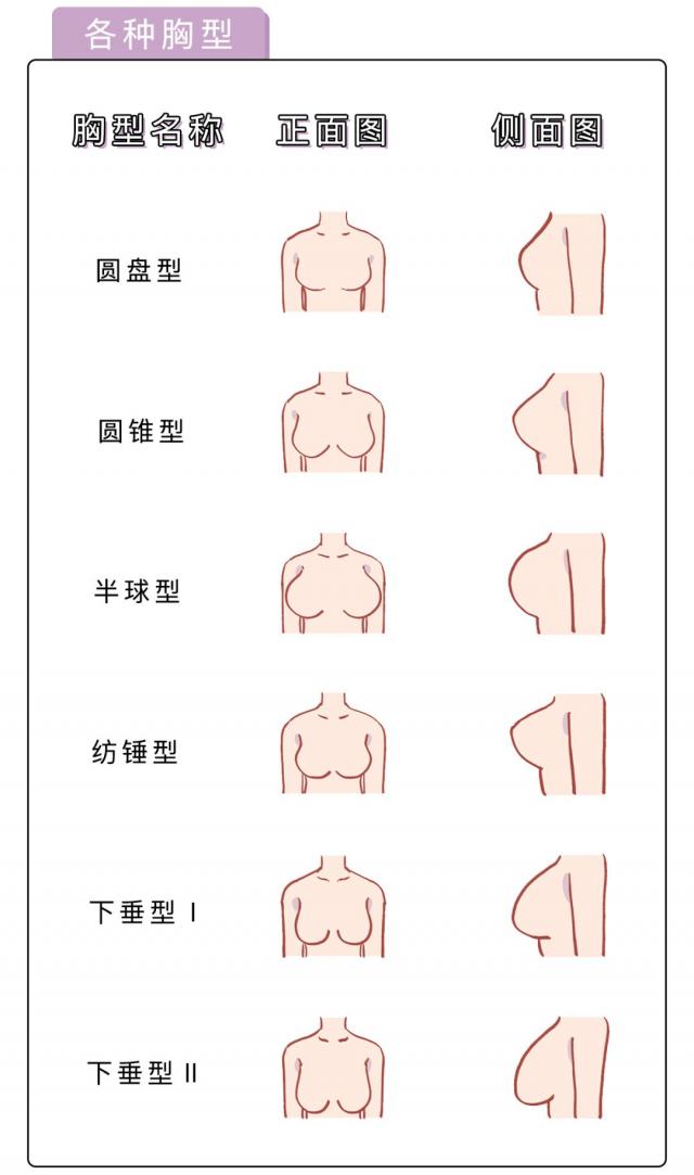 女人的乳房是什么樣的圖片？女性的胸部有哪些形狀？[多圖]