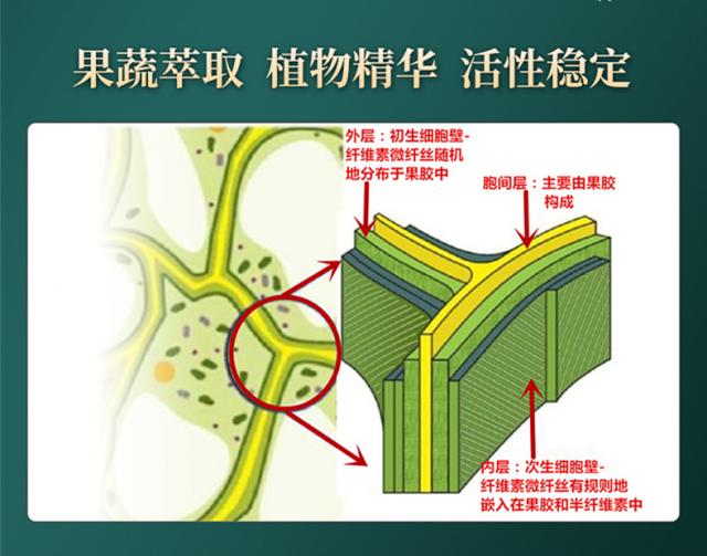 常青通超微化果蔬軟件纖維中國發(fā)明專利