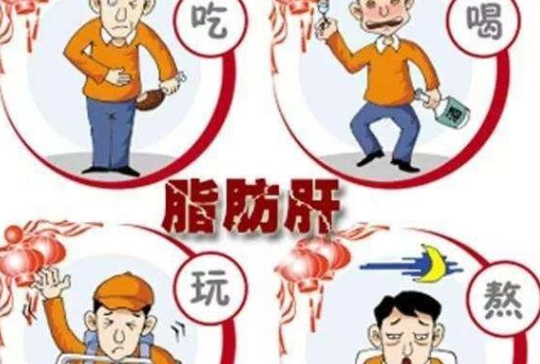 脂肪肝是什么意思 肝細胞內脂肪堆積過多代謝病變