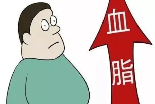 適合高血脂患者的功能有哪些？高血脂怎么治療？