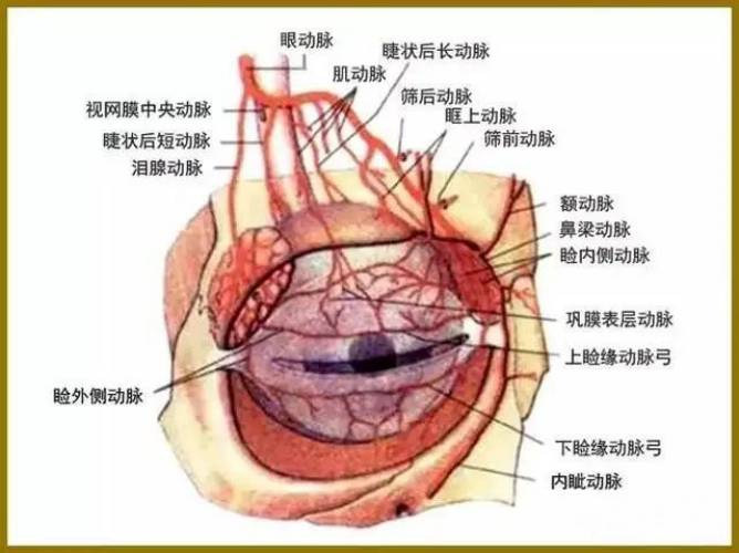 合肥吳氏佳美醫(yī)療技巧整形專家吳應(yīng)凱 行業(yè)經(jīng)驗豐富