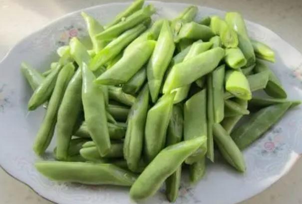 秋蕓豆何時能夠種植？種植秋蕓豆要注意什么？