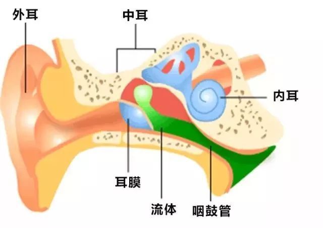 哪些原因可能導致中耳炎？中耳炎有哪些危害？武漢民生耳鼻喉醫(yī)院就耳鼻喉的話題在線解答