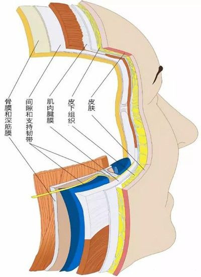 北京煤醫(yī)副主任醫(yī)師王馳：TER時光定格術(shù)多大年齡適合做？