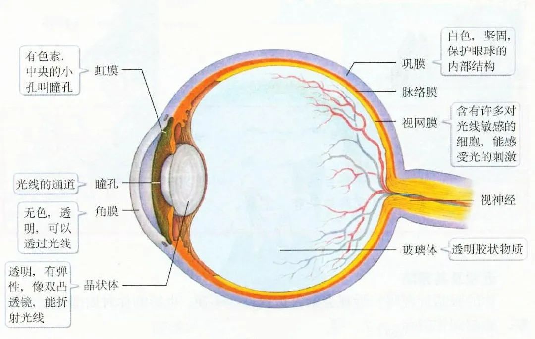 【合肥愛爾眼科】眼底病，看不見摸不著不熟悉且十分危險！