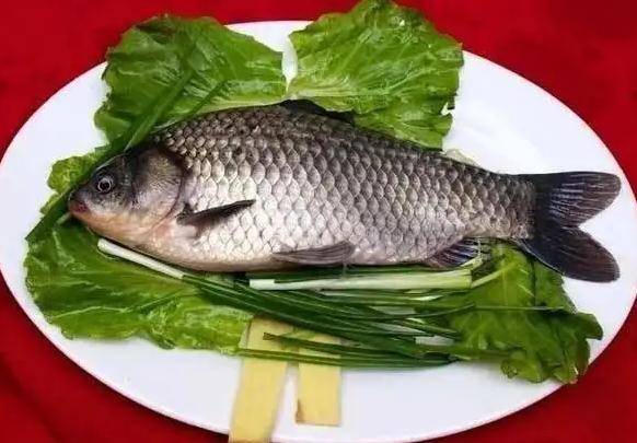 鯽魚死了多久不能吃？鯽魚可以放冰箱冷凍嗎？