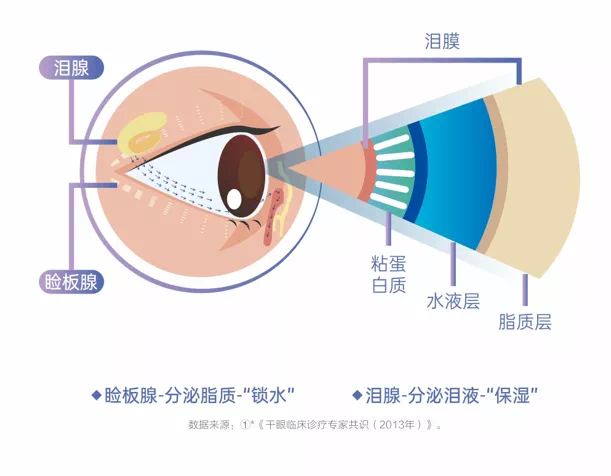 春節(jié)后，用眼過度后眼睛干澀、疲勞？到底是熱敷好還是冷敷好？——合肥愛爾