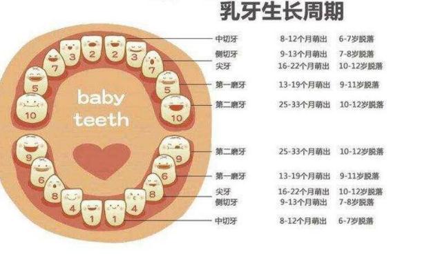 兒童磨牙怎么辦？嬰兒磨牙棒會讓牙齒畸形嗎？