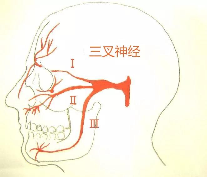 北京廣濟(jì)醫(yī)院怎么樣，三叉神經(jīng)痛會(huì)導(dǎo)致耳鳴嗎？