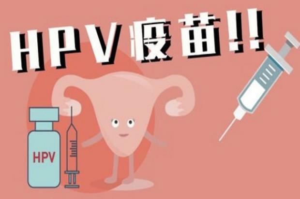 聚寶盆可以打HPV疫苗嗎 預(yù)防肛門癌生殖器官濕疣等