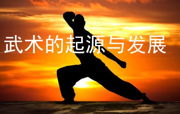 武術的發(fā)展和起源是怎么來的？武術可以鍛煉孩子什么？