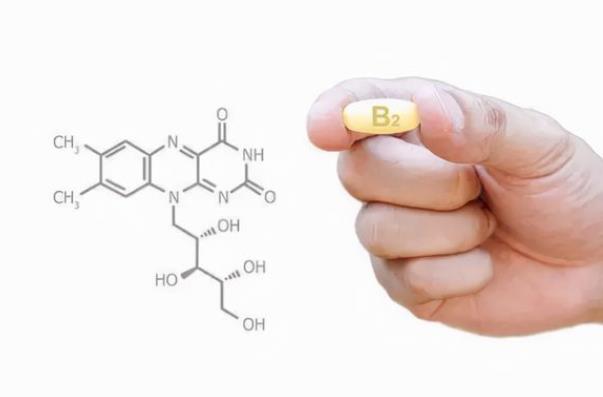 吃維生素B2可以預(yù)防心血管疾病嗎 促進細胞進行氧化還原