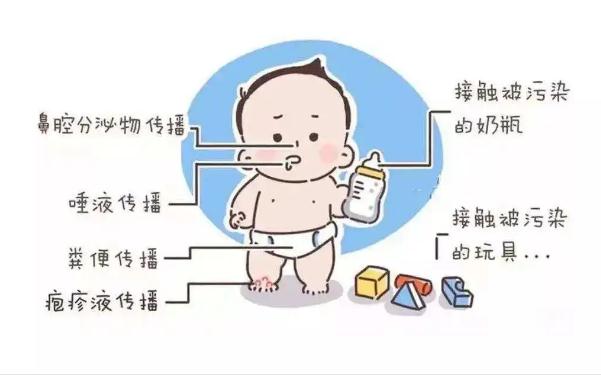 手足口病靠什么傳播途徑？手足口病怎樣預(yù)防？