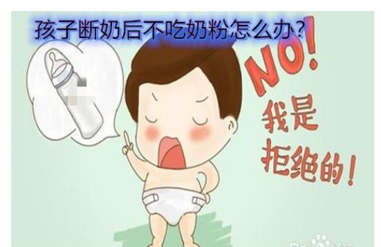 寶寶戒奶不喝奶粉怎么辦？接近母乳的奶粉有哪些？