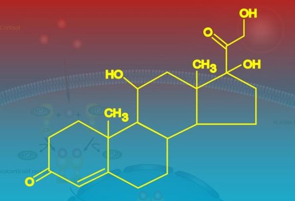 喝咖啡會導(dǎo)致皮質(zhì)醇過高嗎 高皮質(zhì)醇有哪些影響
