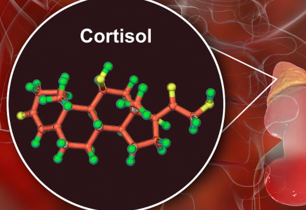 做皮質(zhì)醇檢測(cè)需要空腹嗎 皮質(zhì)醇檢測(cè)前需要做什么準(zhǔn)備