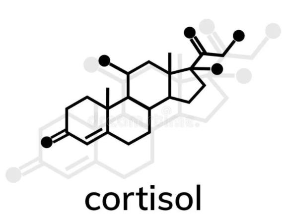 皮質醇低有什么危害 如何預防皮質醇低