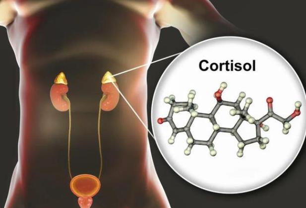 皮質(zhì)醇高有哪些癥狀 體重增加高血壓血糖升高