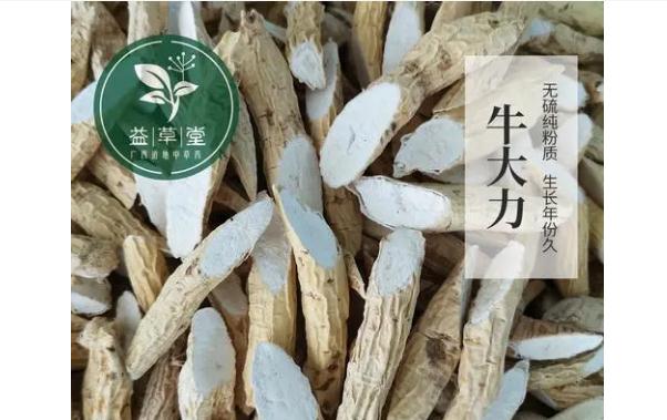 牛大力有什么功效與作用？哪些下載不宜食用牛大力？