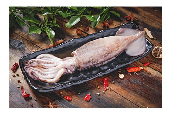 魷魚(yú)都有什么功效與作用？食用魷魚(yú)的禁忌有哪些？