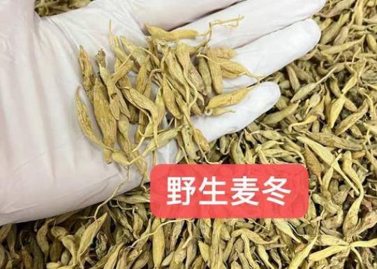 麥冬對(duì)肝臟有損害作用嗎 過量代謝不及時(shí)致功能受損