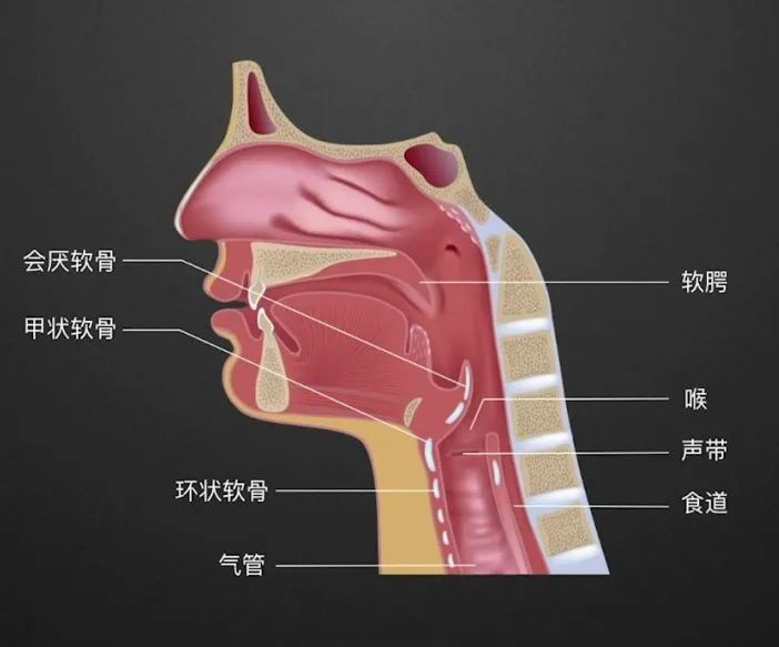 咽喉炎到底怎么回事？成都民生耳鼻喉醫(yī)院教你緩解嗓子疼！