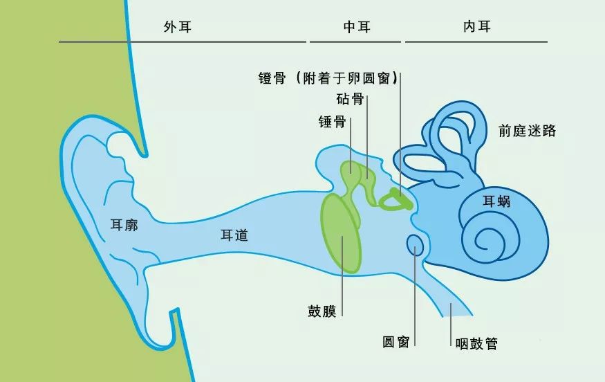 廣泛使用的藍牙耳機正在威脅你的耳朵計劃嗎？