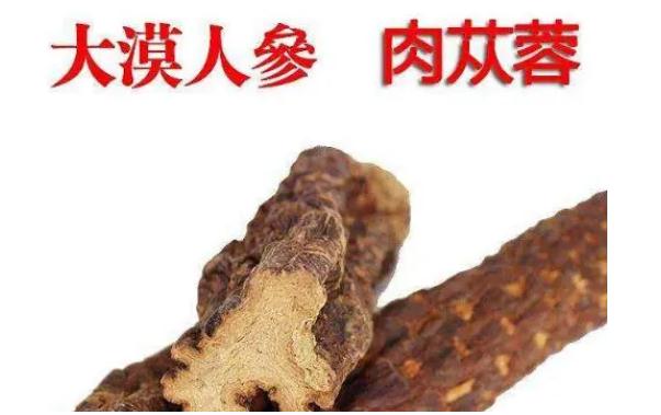 肉蓯蓉保質(zhì)期多久？新鮮肉蓯蓉怎樣清洗？