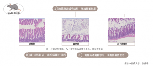 如何用中醫(yī)藥抗衰老？吳以嶺教授給出有效防治策略