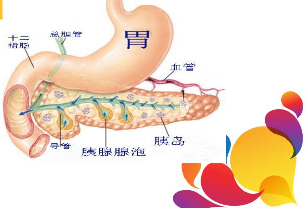 胰腺癌的癥狀有什么呢？胰腺癌造成的原因有什么呢？