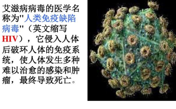 艾滋病能檢測出來嗎 抽血能檢測艾滋病嗎