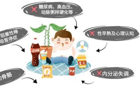 聚寶盆內(nèi)分泌失調(diào)怎么辦 內(nèi)分泌失調(diào)如何確診