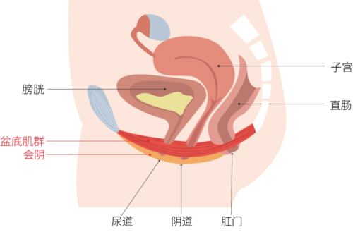 重慶女性做私密緊致除了手術(shù)還可以選擇哪些方式？