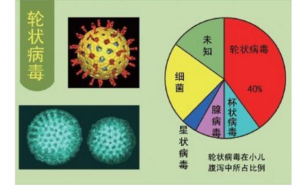 輪狀病毒發(fā)病有哪些特點？感染輪狀病毒后可以吃什么？