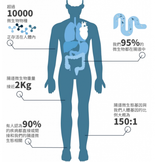 濕敏又有了新希望，PGut讓百億“益生菌”為你打工！